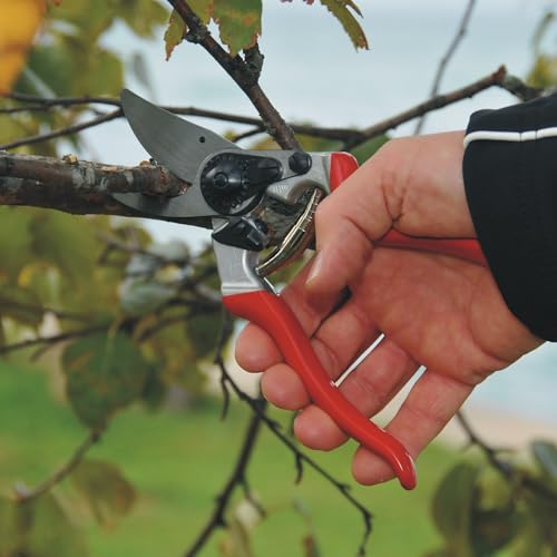 Felco F8 Pruning Shears – 8.3" Swiss-Made Garden Clippers with 1" Cutting Capacity for Ergonomic Comfort | Hand Pruners for Gardening | Garden Tool Cutter with Precision Bypass Blade, Aluminum Handles - size: F8 Large Ergo