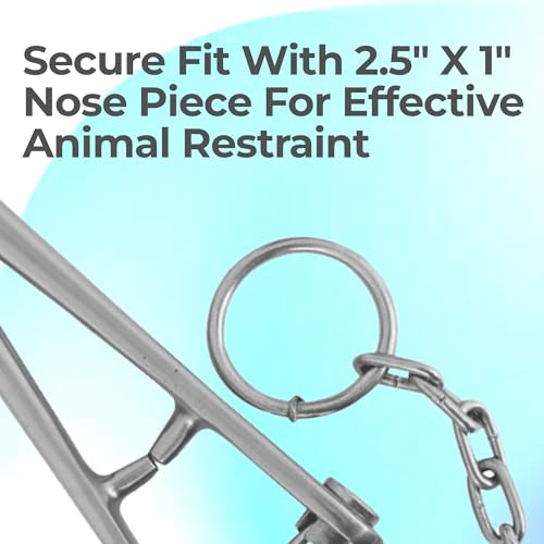 Heavy-Duty Bull Lead with Chain, 13.5" Chain, 7-3/4" Overall Length, Cattle Lead, Livestock Management, Animal Restraint, Bull Control, Bovine Handling, Farm Tools, Livestock Control