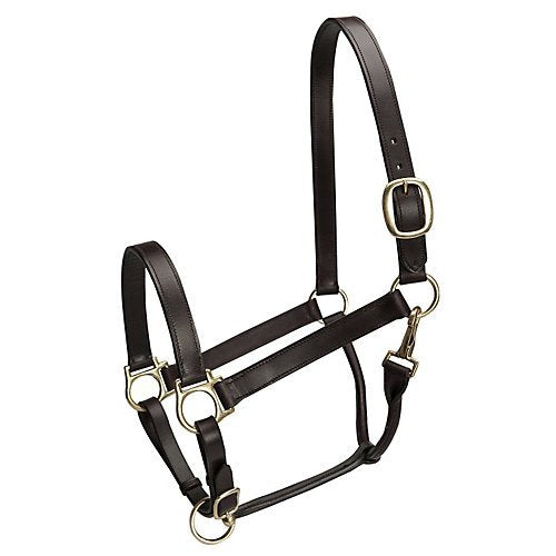 CAMELOT Basic Leather Adj Stable Halter w/Snap Weanl - size: Weanl
