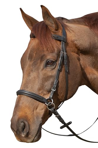 Equinavia Saga Leather Horse English Bridle, Stainless Steel Hardware Reins - color: Black, size: Warmblood