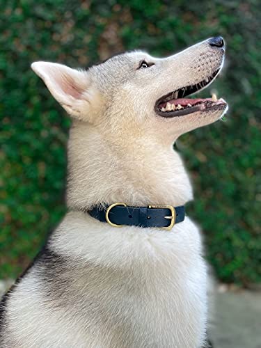 Tuff Pupper Heavy Duty Waterproof Dog Collar for Small, Medium & Large Dogs - color: Midnight Blue