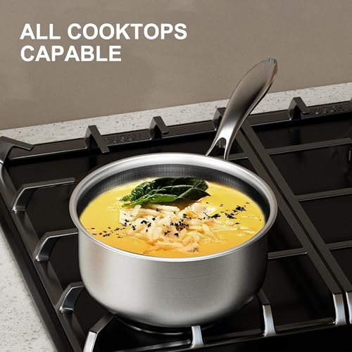 COOKER KING 2 Quart Stainless Steel Saucepan, Nonstick Sauce Pan, Ceramic Suce Pot with Tempered Glass Lid, Induction Pot Compatible with All Cooktops, Dishwasher & Oven Safe(PFAS/PFOA/PTFE Free) - size: 2 Quarts