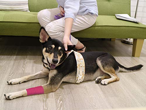 FRESINIDER 9 Rolls Self Adhesive Wrap Athletic Tape Gauze, Breathable Elastic Cohesive Bandage for Sports Injury & Pet (7 Pcs 2" x 5 Yards + 2 Pcs 1" X 5 Yards) (Pink) - color: Pink