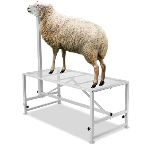 Happybuy Goat & Sheep Stand, 47x23 inch Livestock Stand, Metal with 21" to 33" Adjustable Height, Headpiece and Nose Loop, 500lbs Loading Weight, Perfect for Milking and Shearing, White