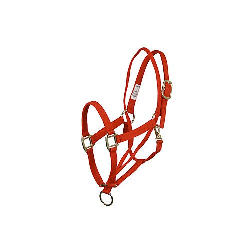 Basic Pull Back Training Halter - color: Red