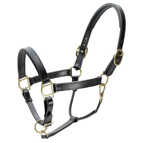 Jeffers Paris Padded Leather Horse Halter with Throat Snap, Adjustable Double Buckle Crown with Throat Snap, Triple Stitched Noseband for Cheek & Nose, Black - size: Full