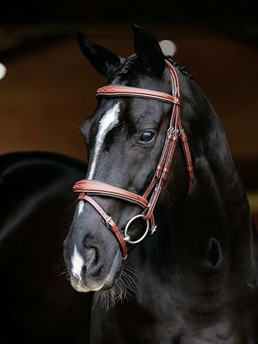 LeMieux Kudos Competition Flash Bridle - color: Chestnut, size: Full