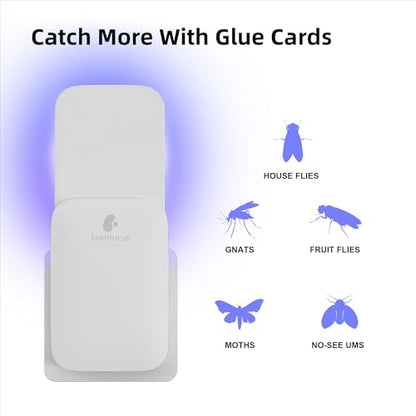UVA Fly Insect Trap Refills Glue Cards for UVLA1001 Indoor, Catch Gnats, House & Fruit Flies - 5Pack, Single Sided Sticky