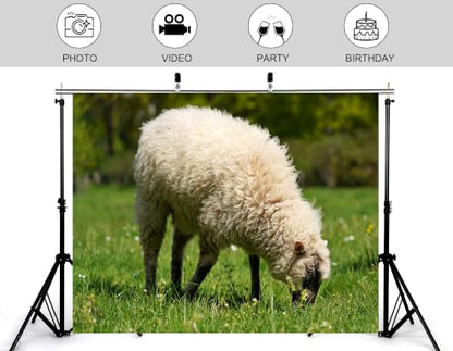 5x3ft Fluffy White Wool Sheep Backdrop Lush Green Grass Pasture Sunny Outdoor Photography Background Tapestry for Country Farm Party Decorations Photo Booth Props - size: 5x3ft