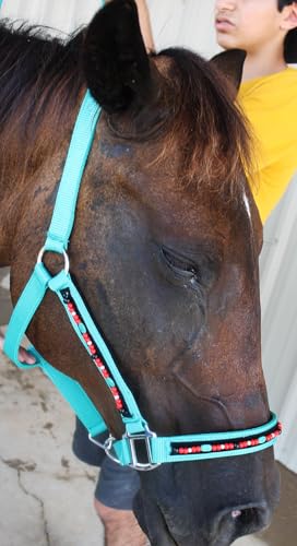 Horse Halter Glitter Nylon Adjustable Padded Lead Rope 606217-M - color: Turquoise Glitter, size: Miniature