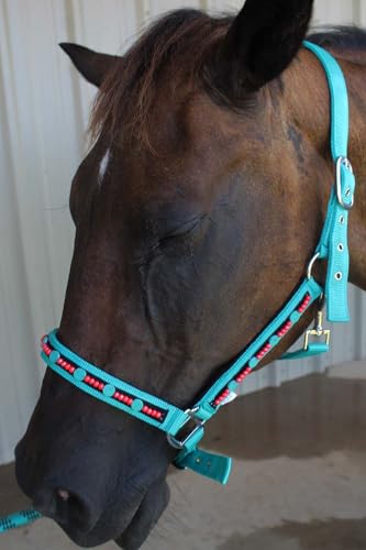 CHALLENGER Horse Halter Glitter Nylon Adjustable Padded Lead Rope 606215-C - color: Gold Glitter, size: Cob