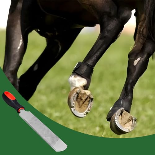 12 Inch Hoof Rasp, Carbon Steel Farrier File with Handle