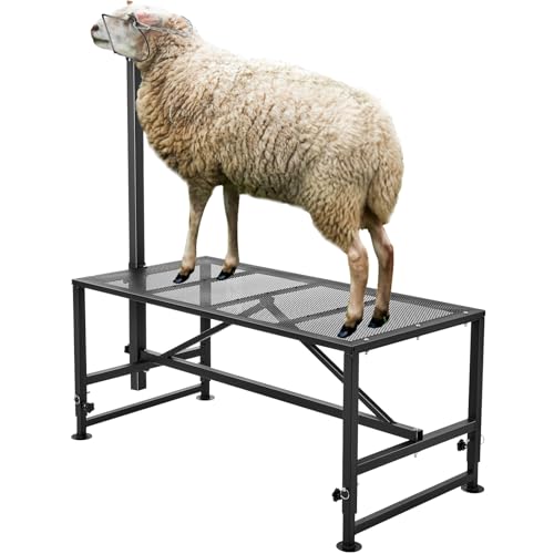 Happybuy Goat & Sheep Stand, 51x23 inch Livestock Stand, Metal Adjustable Height from 21" to 33", with Headpiece and Nose Loop, 500lbs Loading Weight, Ideal for Milking and Shearing, Black