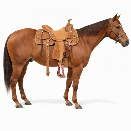 Horse Western 5" Wide Barrel Racer Engraved Aluminum Show Stirrups 51244 - color: Pink