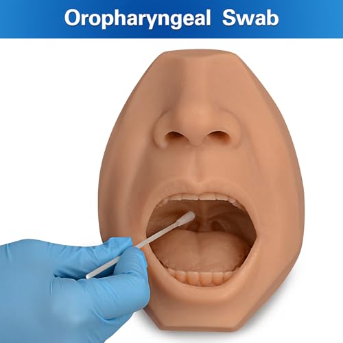 Nasal Swab Training Model, Throat and Oral Swab Collection Simulator - color: brown