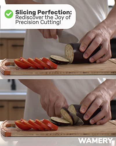 Wamery Knife & Scissors Sharpener, 4-Stage Pull-Through with Scissors Slot