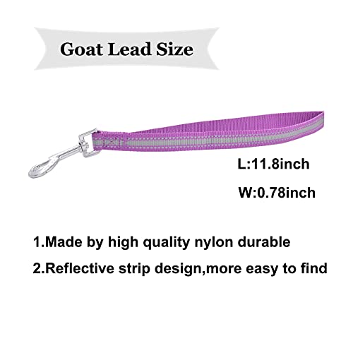 Goat Lead and Goat Collars Set Small Farm Animal Goat Sheep (Multicolor) - color: Multicolor