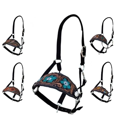 Majestic Ally Equestrian Designer Bronc Halter for Horses, Hand-Tooled Leather Nose, Padded Nylon Crown and Noseband - style: Turquoise Carnation