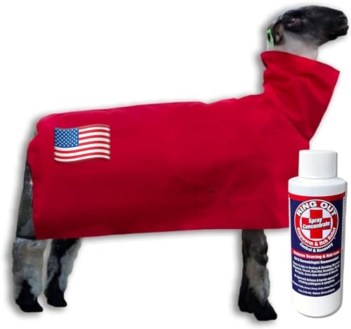 Show Pro Red Sheep Blanket - Nylon Mesh with Adjustable Strap - Lamb Size 30+ lbs - Sunburn & Fly Bite Protection - Made in USA - size: Medium