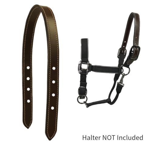 Derby Originals Replaceable Crown Horse Safety Halter Premium Double Layer Leather Double Stitched Heavy Duty Crown - size: 24" Full