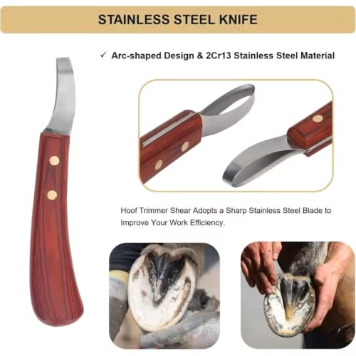 Professional Livestock Grooming Kit with Stainless Steel Shears