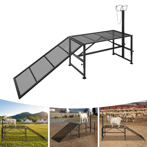 Milking Stand with a Ramp, Adjustable Milking Stand, Metal Goat Stand for Trimming Hooves 500 Lbs for Small Sheep and Goat