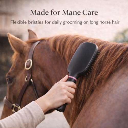 2PCS Rainbow Air Cushion Grooming Brush for Horses Dogs Cats