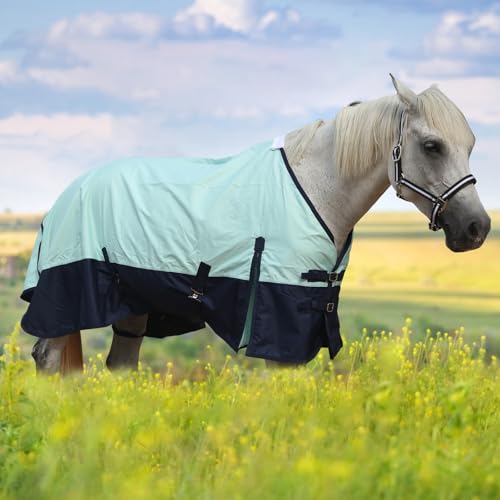 600D Horse Blanket, 0g No-Fill Waterproof Turnout Rain Sheet - color: Turquoise/Navy, size: 72"