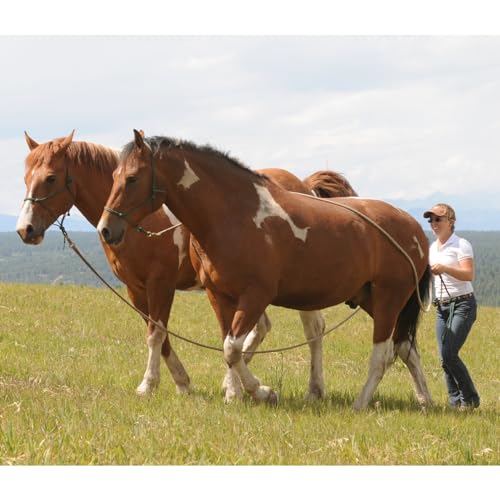 PARELLI 22 Foot Line Ground Training Rope - Strong Everyday Use All-Purpose Large Horse Lead Rope with Loop & Latigo Popper | 9/16" Diameter Smooth Yachting Braid, Vaquero - color: Vaquero