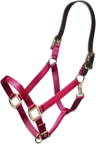 ARMA Shires Nylon Halter with Leather Head Strap - color: Raspberry, size: Full