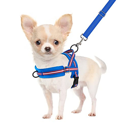 SlowTon No Pull Small Dog Harness and Leash Set with Front Clip | Soft Padded, Neck & Chest Adjustable, Lightweight, Anti-Twist, Puppy Vest Harness Pet Lead Combo for Small Medium Dog DBL XXS - color: Dark Blue, size: XX-Small