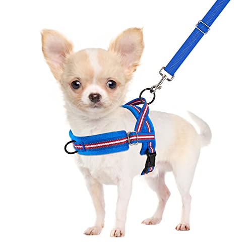 SlowTon No Pull Small Dog Harness and Leash Set with Front Clip | Soft Padded, Neck & Chest Adjustable, Lightweight, Anti-Twist, Puppy Vest Harness Pet Lead Combo for Small Medium Dog, DBL S - color: Dark Blue, size: Small