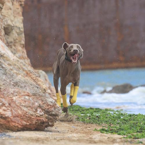 ROZKITCH 4 PCS Dog Arm Sleeves for Licking Scratching Elbow Front Legs - color: Yellow, size: S-Leg Girth: 2.04in