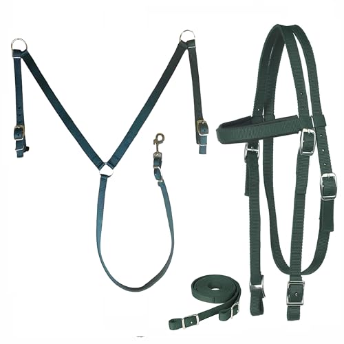 Majestic Ally Nylon Padded Equestrian Browband Headstall, Reins & BreastCollar Set for Horse- Full - color: Hunter Green