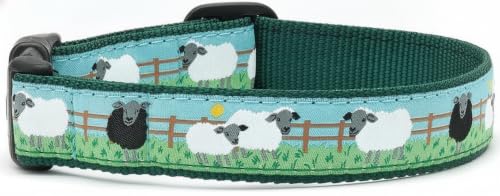 Up Country Counting Sheep Dog (Dog Collar, 1” Width, Small (9 to 15 inches)) - size: Small (1" Wide)