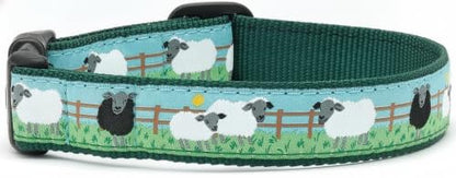 Up Country Counting Sheep Dog (Dog Collar, 1” Width, Small (9 to 15 inches)) - size: Small (1" Wide)