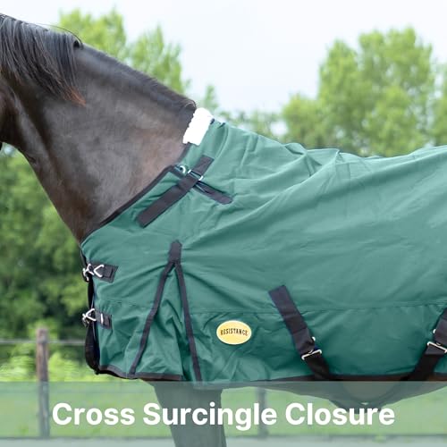 RESISTANCE Premium 1680D Waterproof Horse Turnout Blanket with 300g Polyfill & Adjustable Buckle Closure - color: Bottle Green, size: 72"
