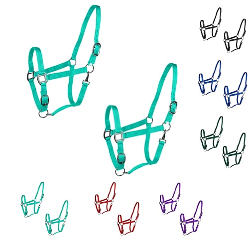 Majestic Ally Pack of 2 Adjustable Halter for Horses–Adjustable Chin and Crown– Sewn-in Throat Snap Hook- Heavy Duty Rose Gold or Black Nickel Finish Hardware–Full - color: Turquoise-Black Nickel