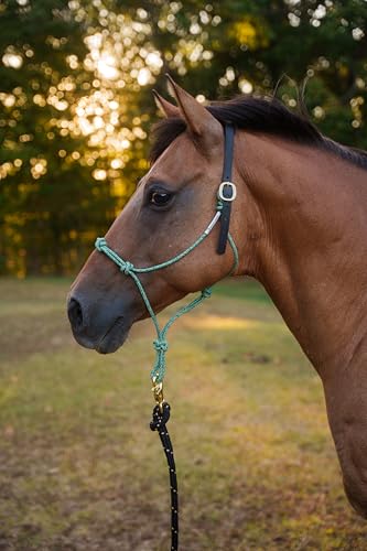 Custom Quick Release Stiff Rope Halter with Leather Crown