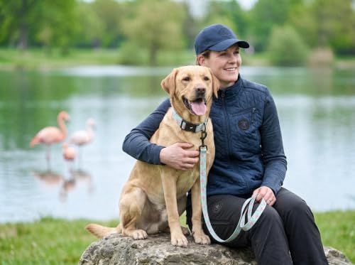 Tuff Pupper Premium Adjustable Dog Collar, Stylish Pattern Collars Designed in USA, Quick Release Buckle, Flamingo Bay Small (0.7 Inch Wide x 8-12 Inch Neck) - color: Flamingo Bay, size: Small