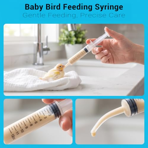 Wisdom Teeth Syringe, 5 Pack Irrigation Dental Syringes with Measure Scale & Curved Tip for Dental Care Liquid Oral Tonsil Stone - size: 5 Pack