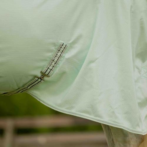 Equinavia Brisk Mesh Horse Fly Sheet with Neck Coverage, UV Protection - color: Misty Jade, size: 81 in