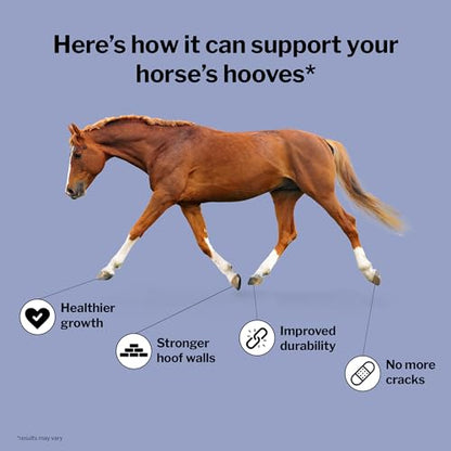 Formula 707 Hoof Health Equine Supplement, 10 lb Bag - 160 Servings – Biotin, Amino Acids, and Minerals to Improve and Support Healthy Horse Hooves - size: 10 lb Bag