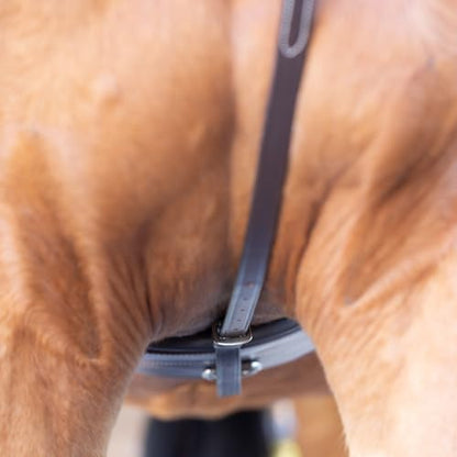 Equinavia Saga Adjustable Leather Standing Martingale with Stainless Steel Hardware (Stopper Not Included) - Chocolate Brown - Cob - size: Cob