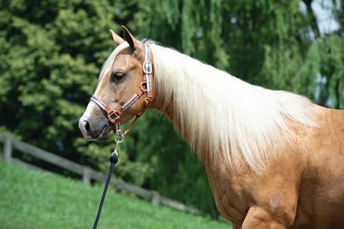 Weaver Equine Non-Adjustable Patterned Nylon Horse Halter