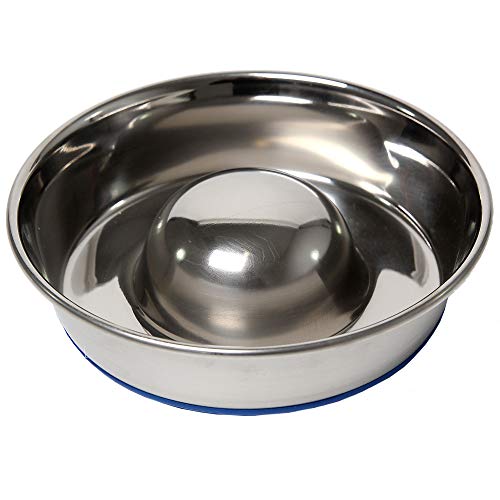 OurPets DuraPet Slow Feed Premium Stainless Steel Dog Bowl, Silver, Small (2040010300) - size: Small (2 Cups)