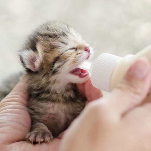 VILLCASE 40pc Pet Feeding Bottle Kitten & Puppy Nipples