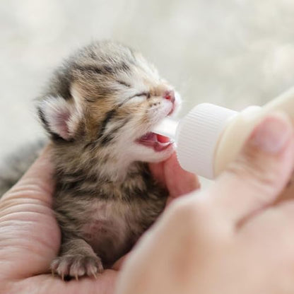 VILLCASE 40pc Pet Feeding Bottle Kitten & Puppy Nipples