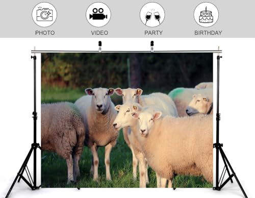 12x8ft White Wool Sheep Meadow Backdrop Fluffy Livestock Green Grass Pasture Soft Daylight Photography Background Tapestry Farm Animal Decorations Photo Booth Props - size: 12x8ft