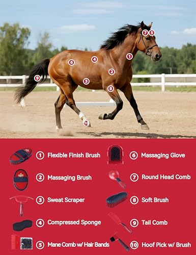 11-Piece Horse Grooming Kit with Waterproof Tote Shadowberry - color: Shadowberry
